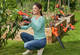 Ножницы садовые - секатор аккумуляторный BLACK+DECKER BCPP18B