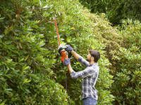 Кусторез электрический BLACK+DECKER BEHTS301