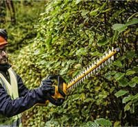 Кусторез аккумуляторный безщеточный со штангой DeWALT DCMPH566P1