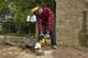 Пила цепная аккумуляторная STANLEY FATMAX SFMCCS630M1